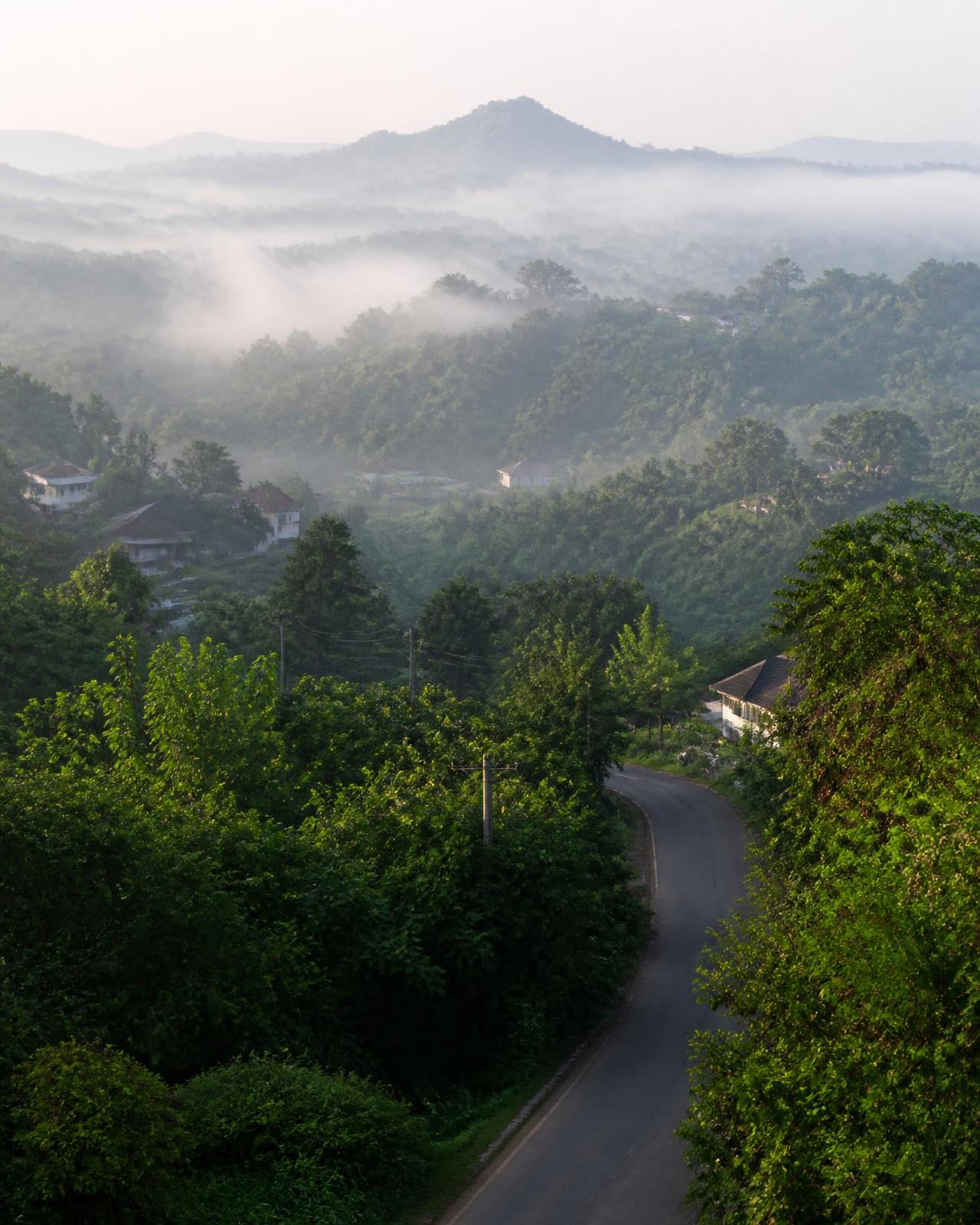The elevated green landscape surrounding the development